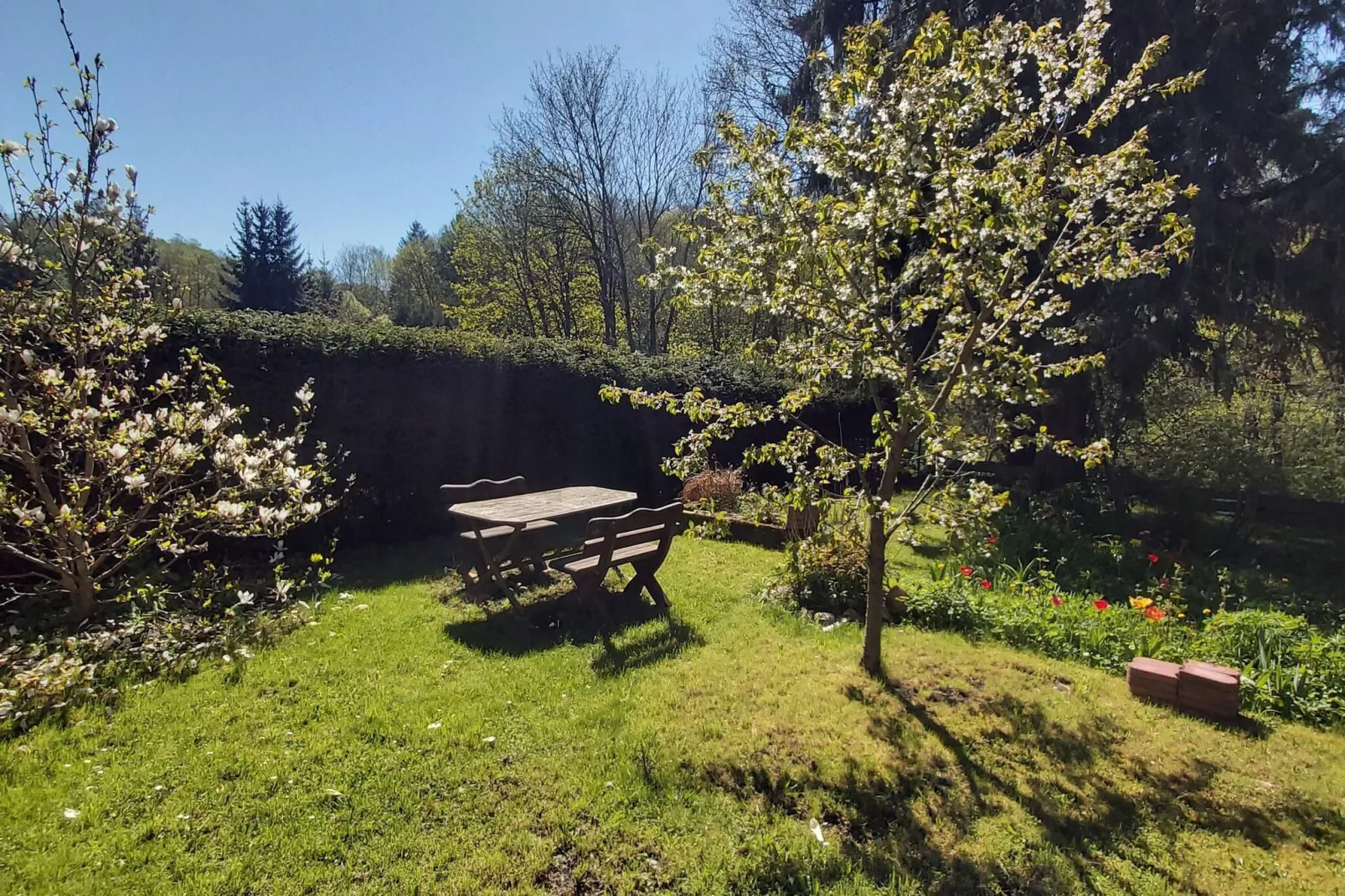 Ferienwohnung Thale-Gardens summer