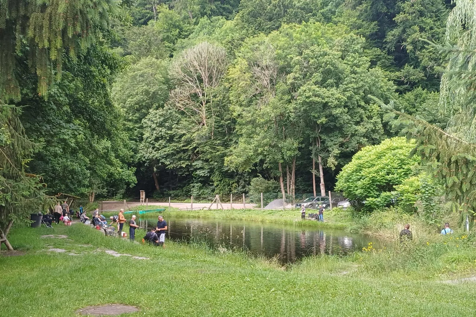Ferienwohnung Thale-Areas summer 5km