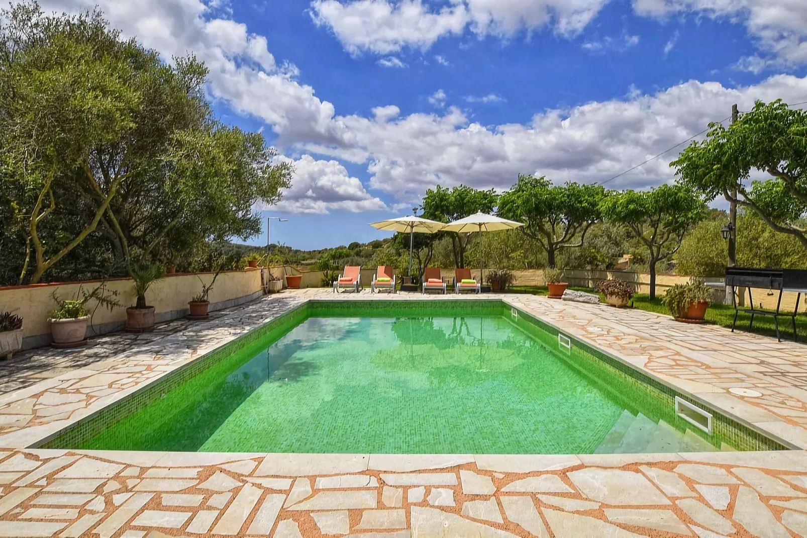 Cladera-Pool