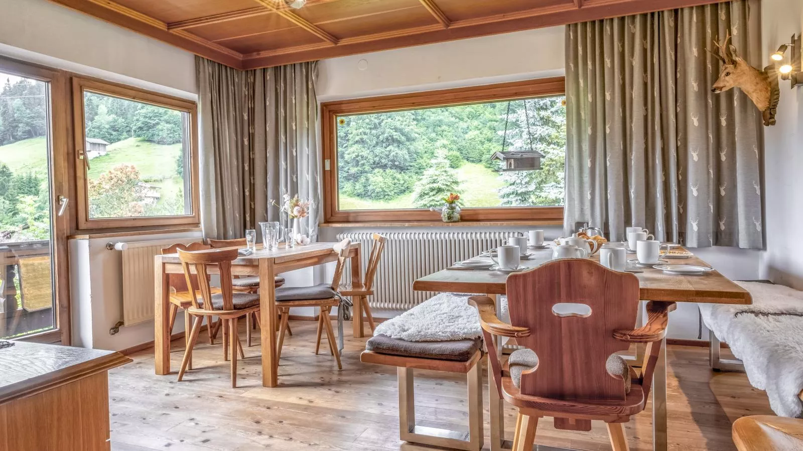 Platzhirsch-Indoor