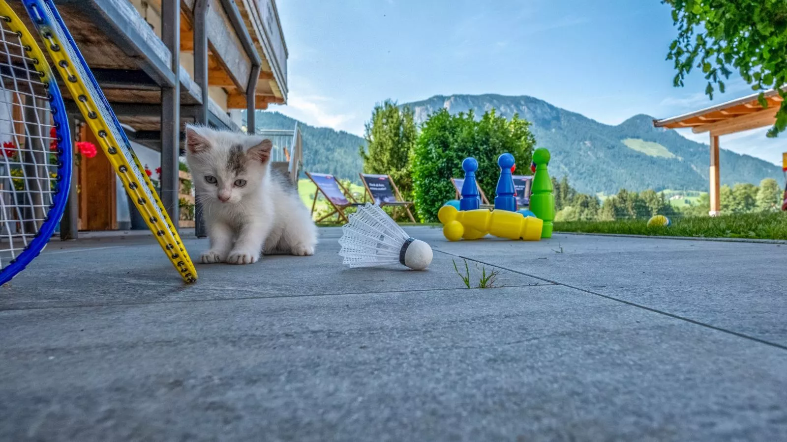 Kraftplatz am Litzlhof-Gärten Sommer