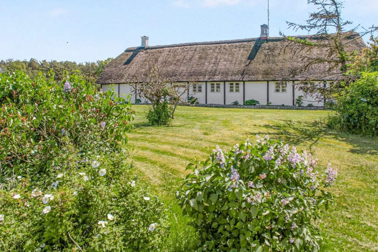 4 Personen Ferienhaus in Læsø-By Traum-Außenbereich
