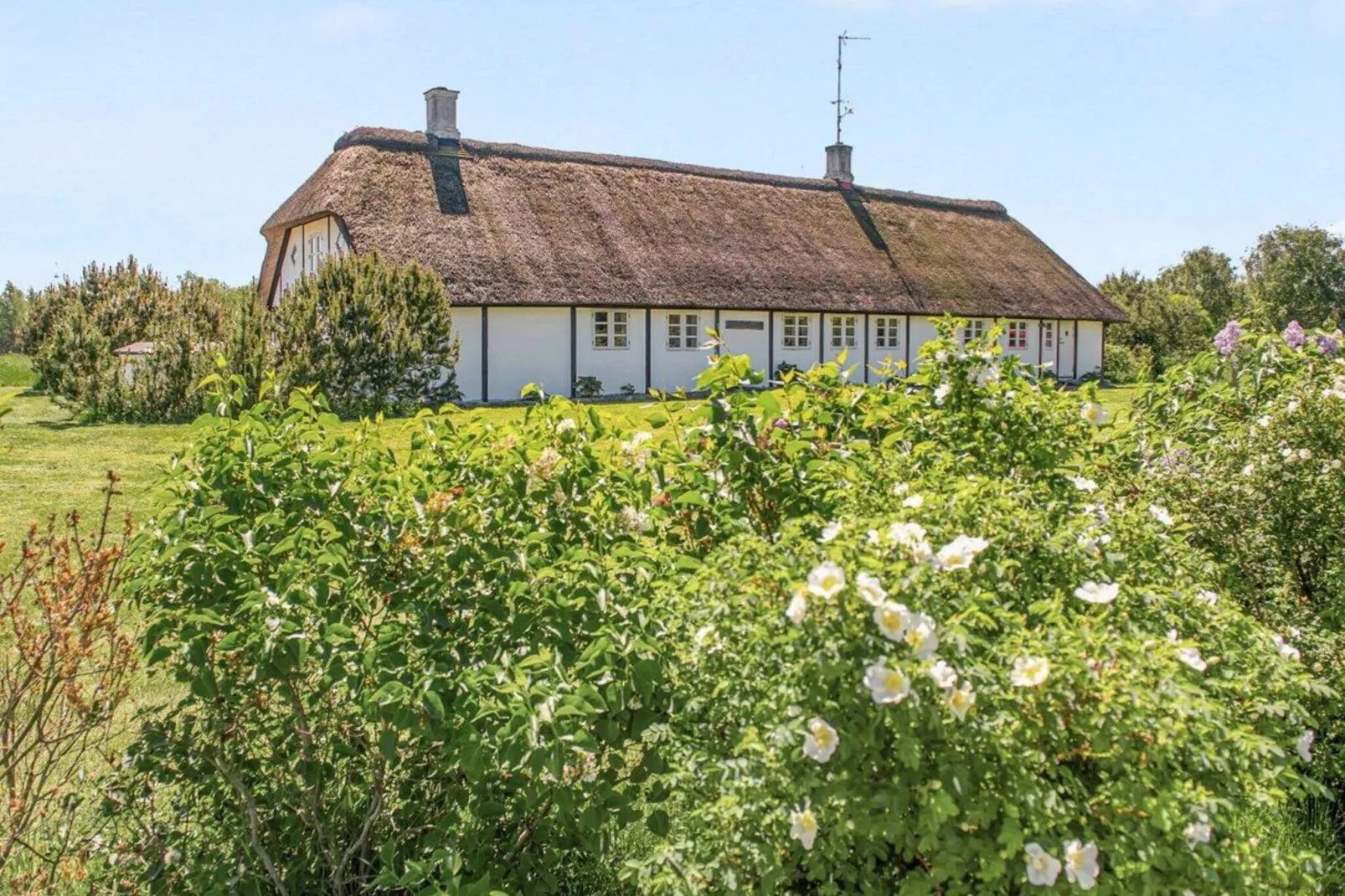 4 Personen Ferienhaus in Læsø-By Traum-Außenbereich