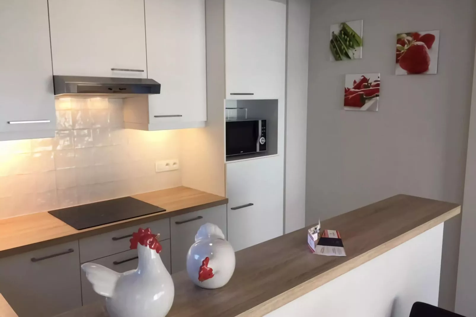 Appartement Alfa-Kitchen