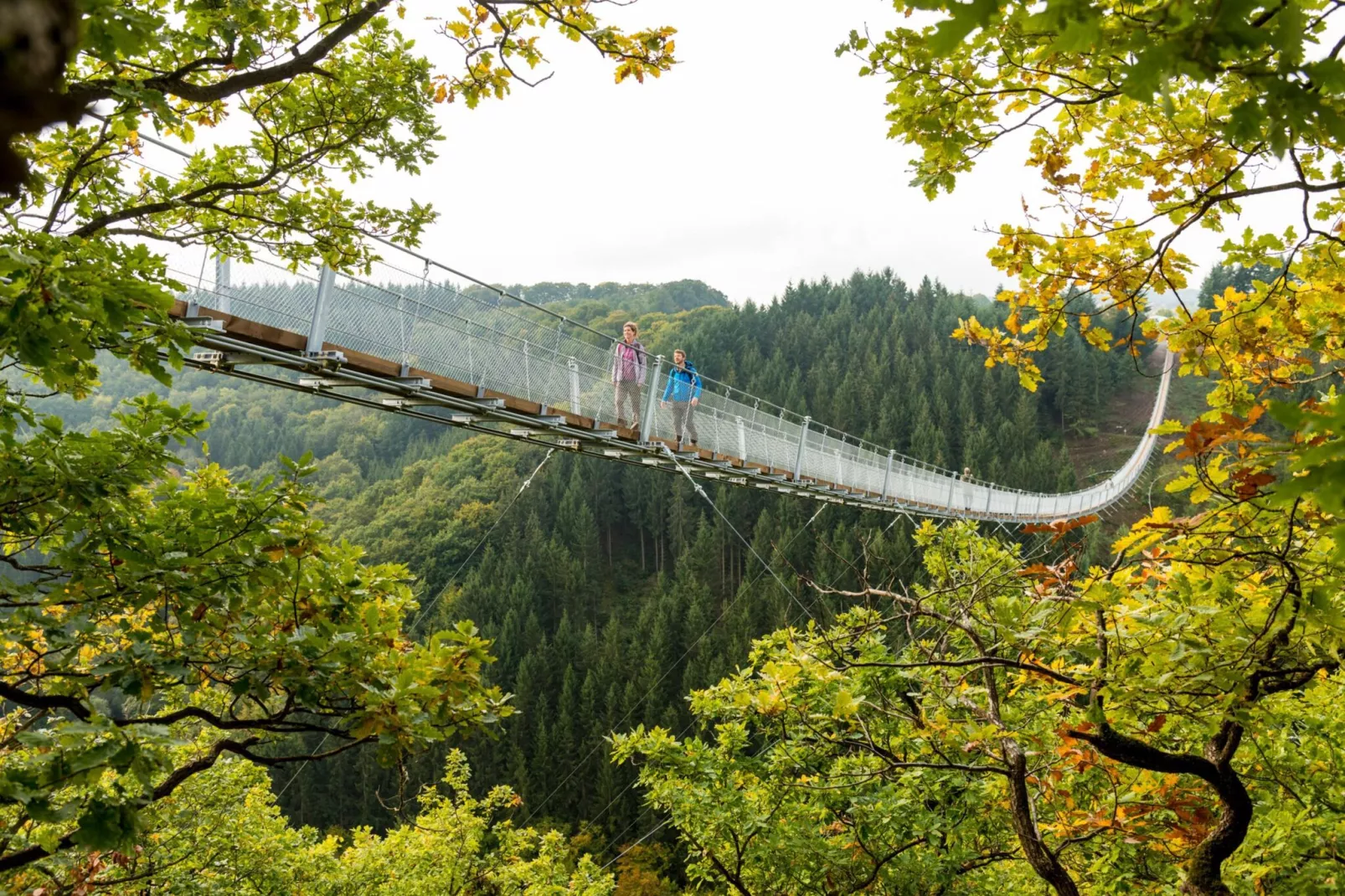 Hillesheim-Areas summer 20km