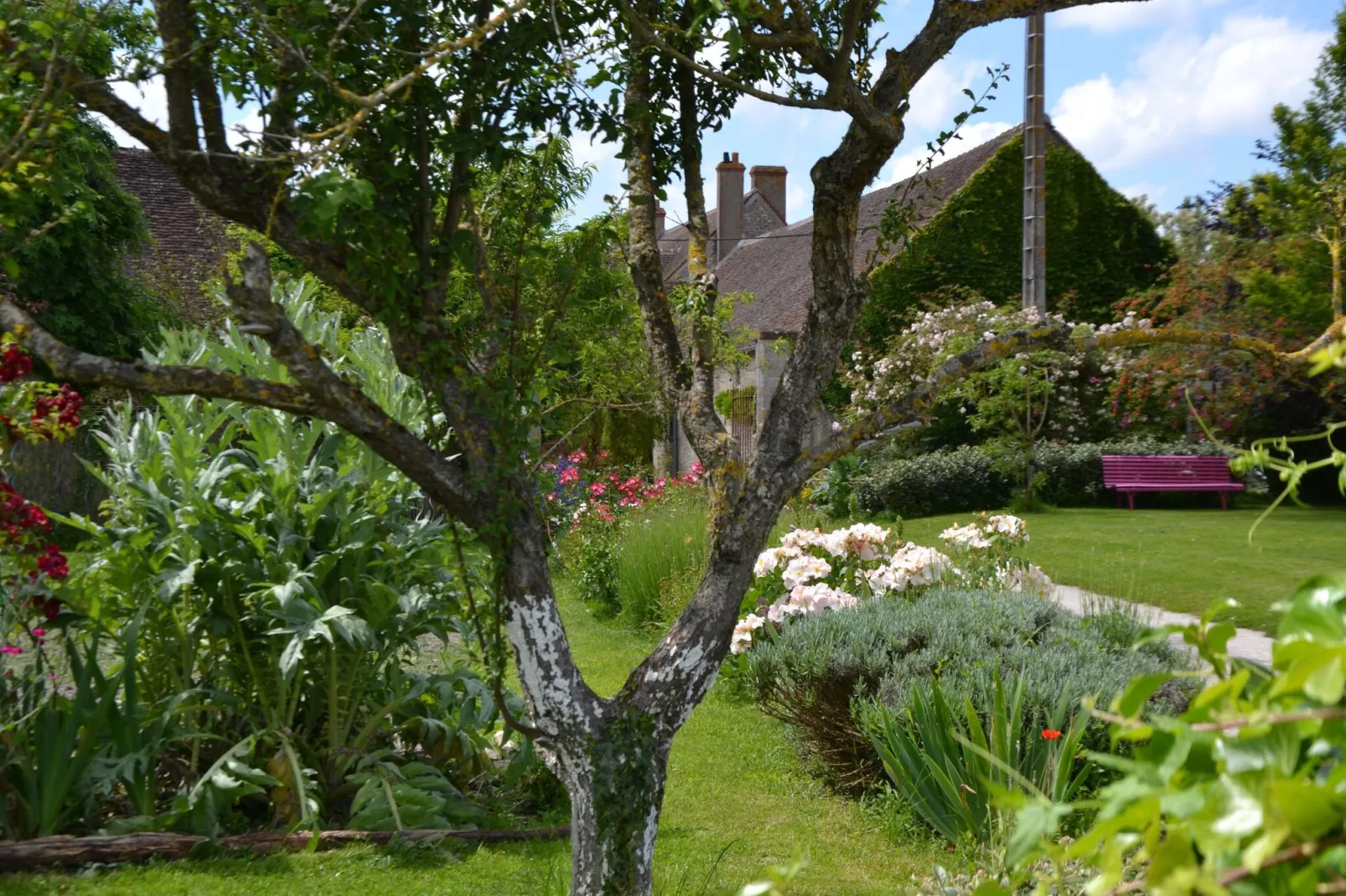 Maison de vacances - CHILLEURS-AUX-BOIS-Jardin d'été