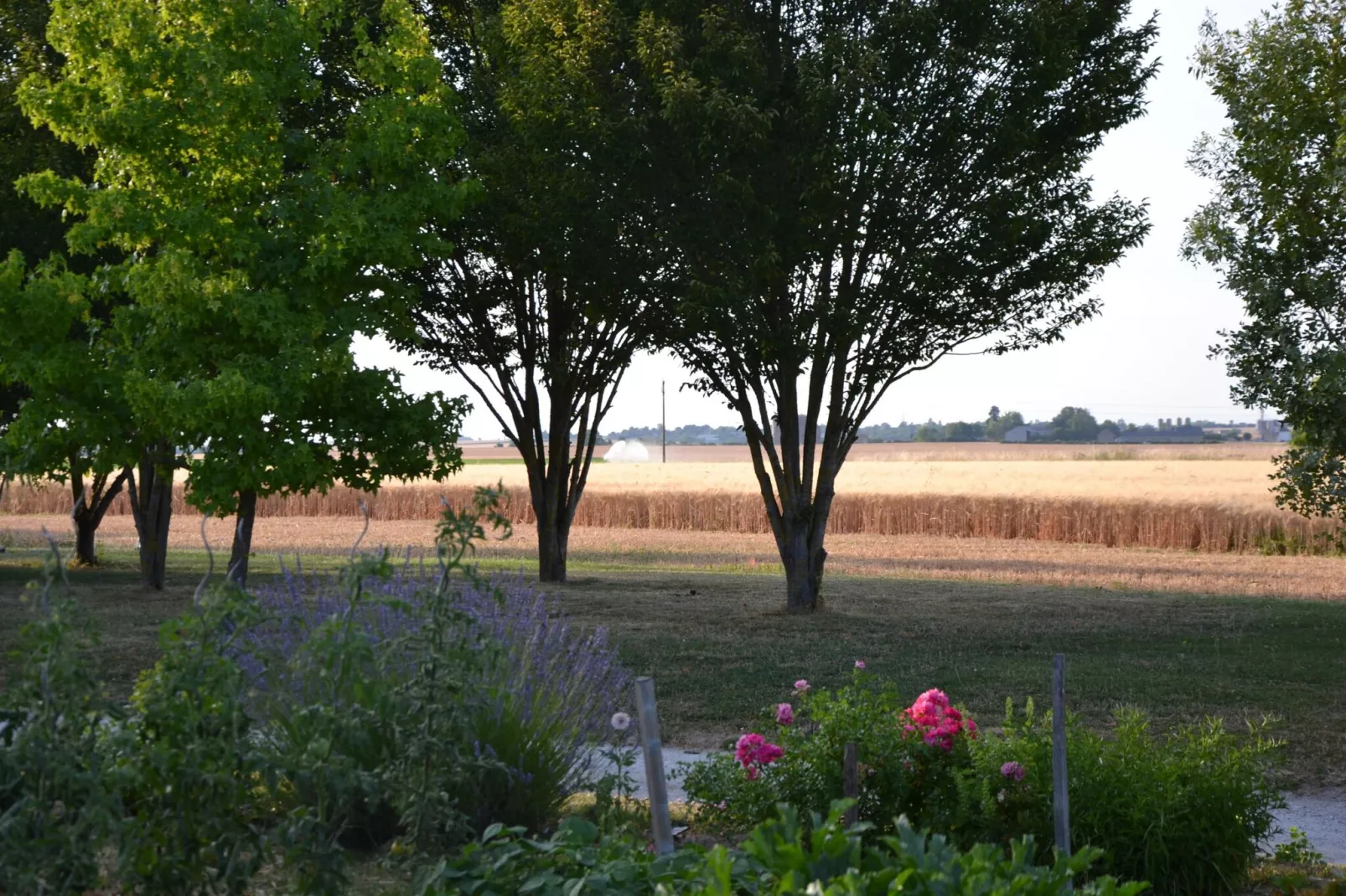 Maison de vacances - CHILLEURS-AUX-BOIS-Zones d'été à 1 km