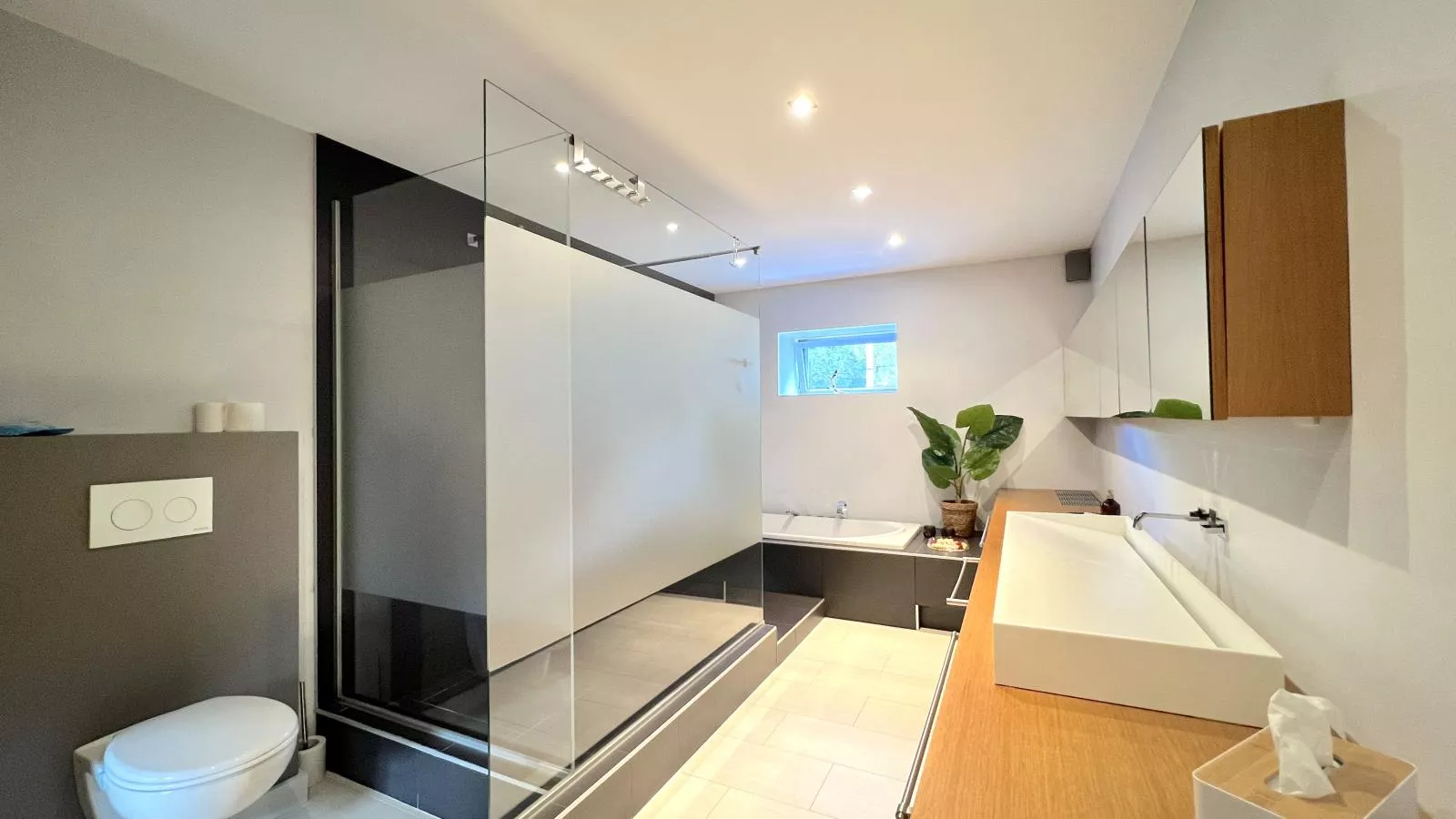 T Vennehuisje-Bathroom