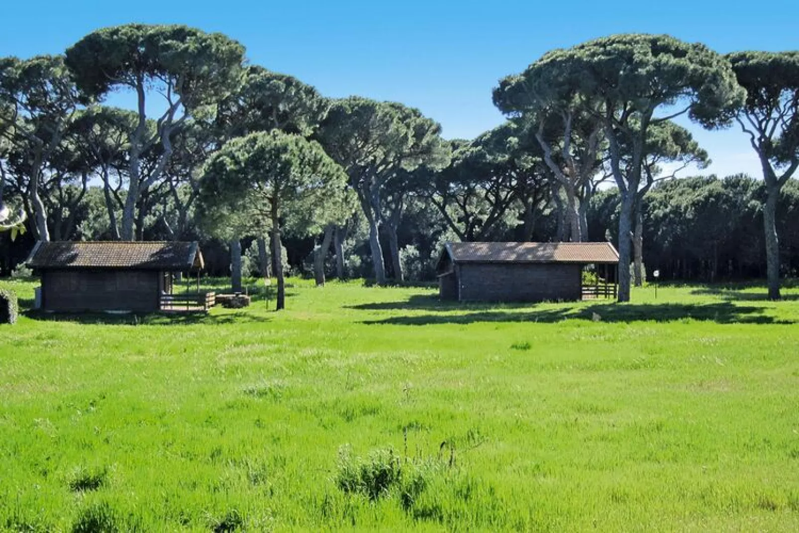 Ferienanlage Azienda Canova Seconda Marina di Grosseto Einzelhaus EG Gartenanteil Veranda-Jardin d'été