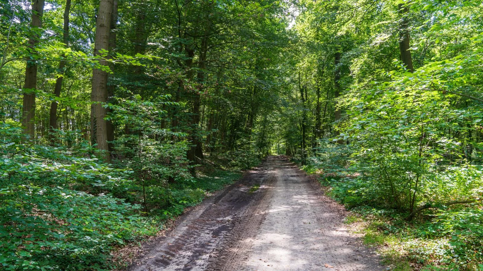 Weidezicht A-Areas summer 1km