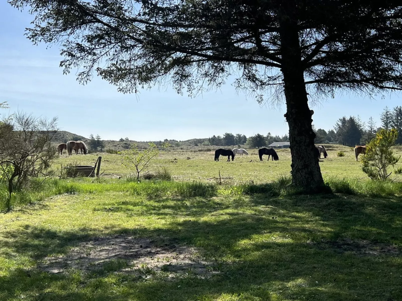 "Anniesette" - 1.5km from the sea-Draußen