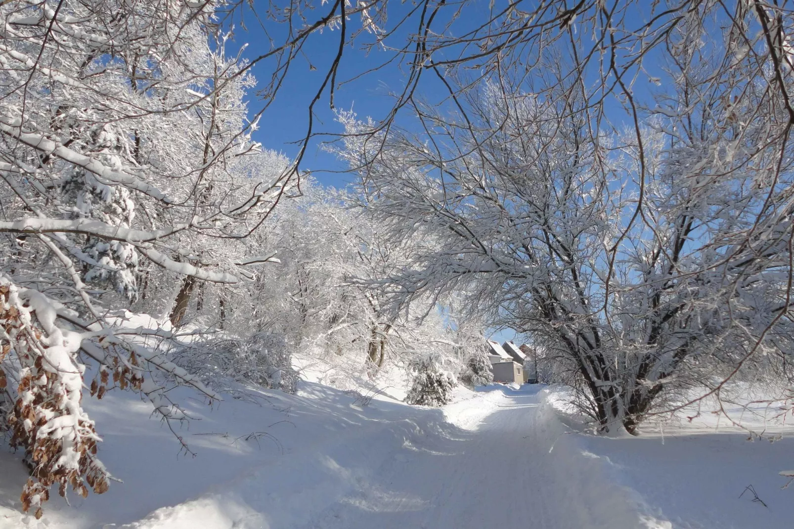 Luisa-Area winter 5km