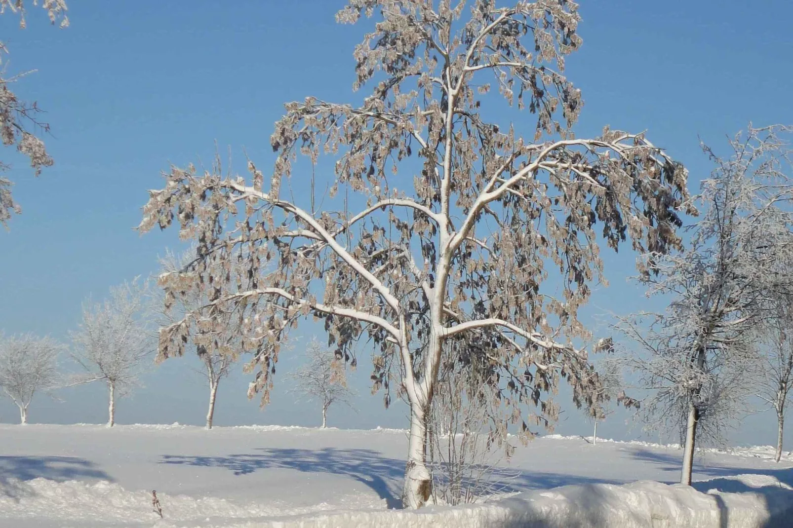 Luisa-Area winter 20km