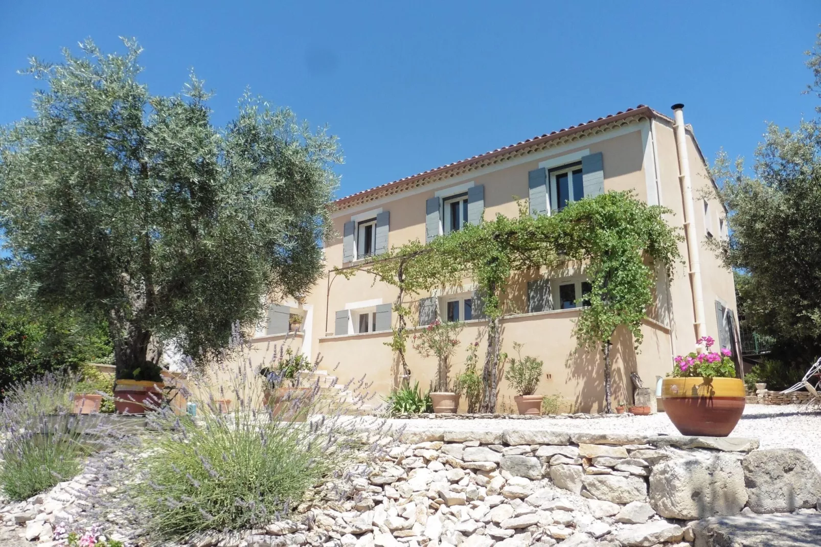 Ferienhaus in Villes-sur-Auzon-Außenbereich Sommer
