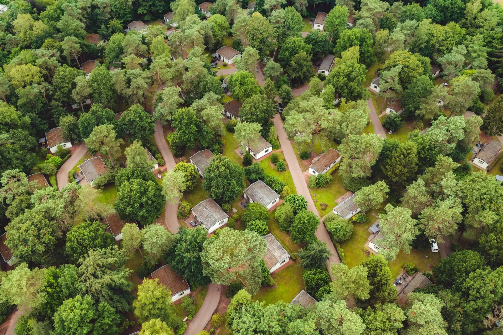 Bospark de Schaapskooi 8-Park facilities