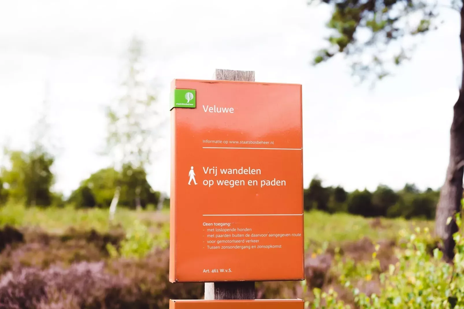 Bospark de Schaapskooi 8-Areas summer 5km