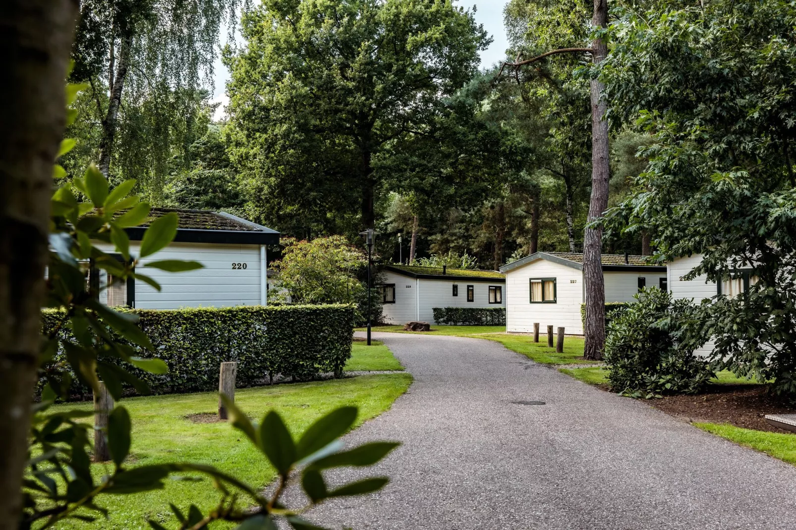Bospark de Schaapskooi 5-Park facilities