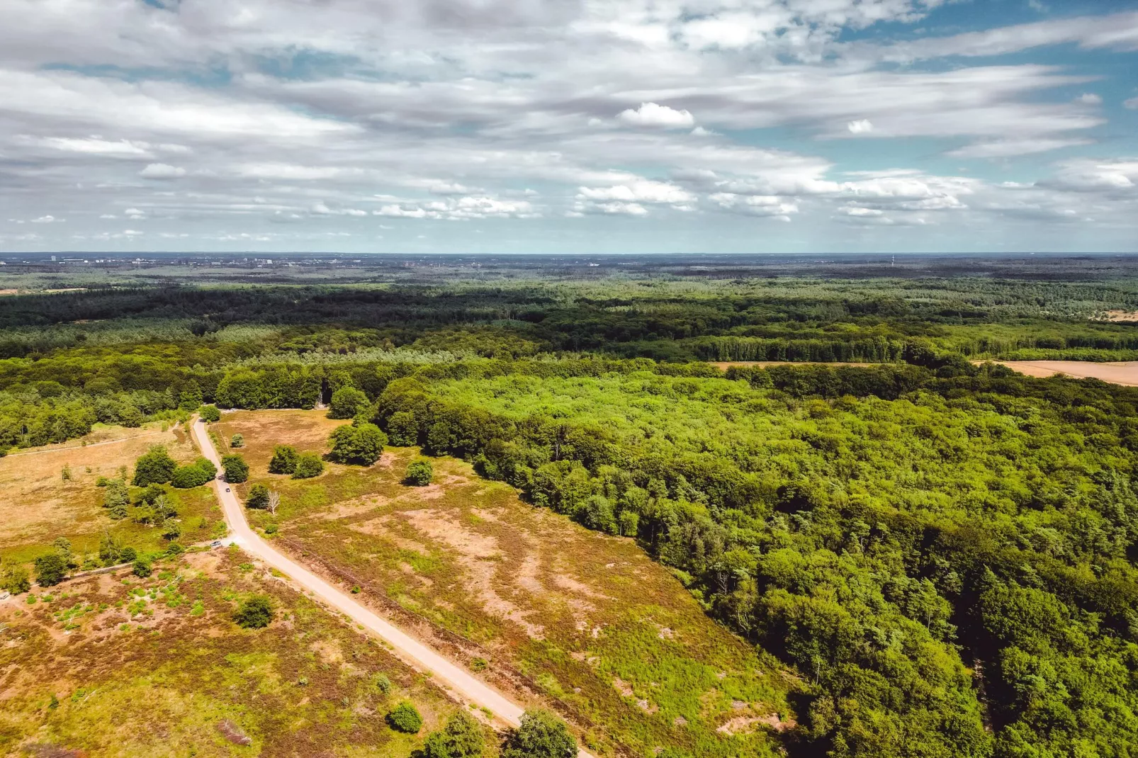 Bospark de Schaapskooi 9-Areas summer 5km