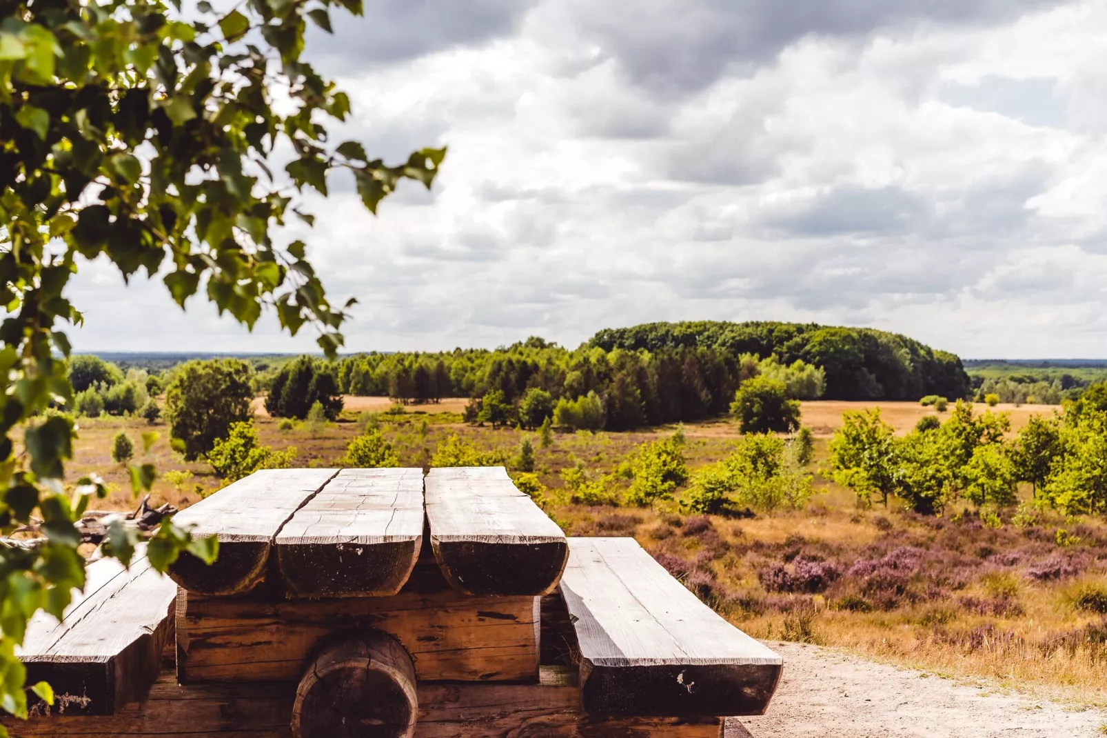 Bospark de Schaapskooi 9-Areas summer 5km