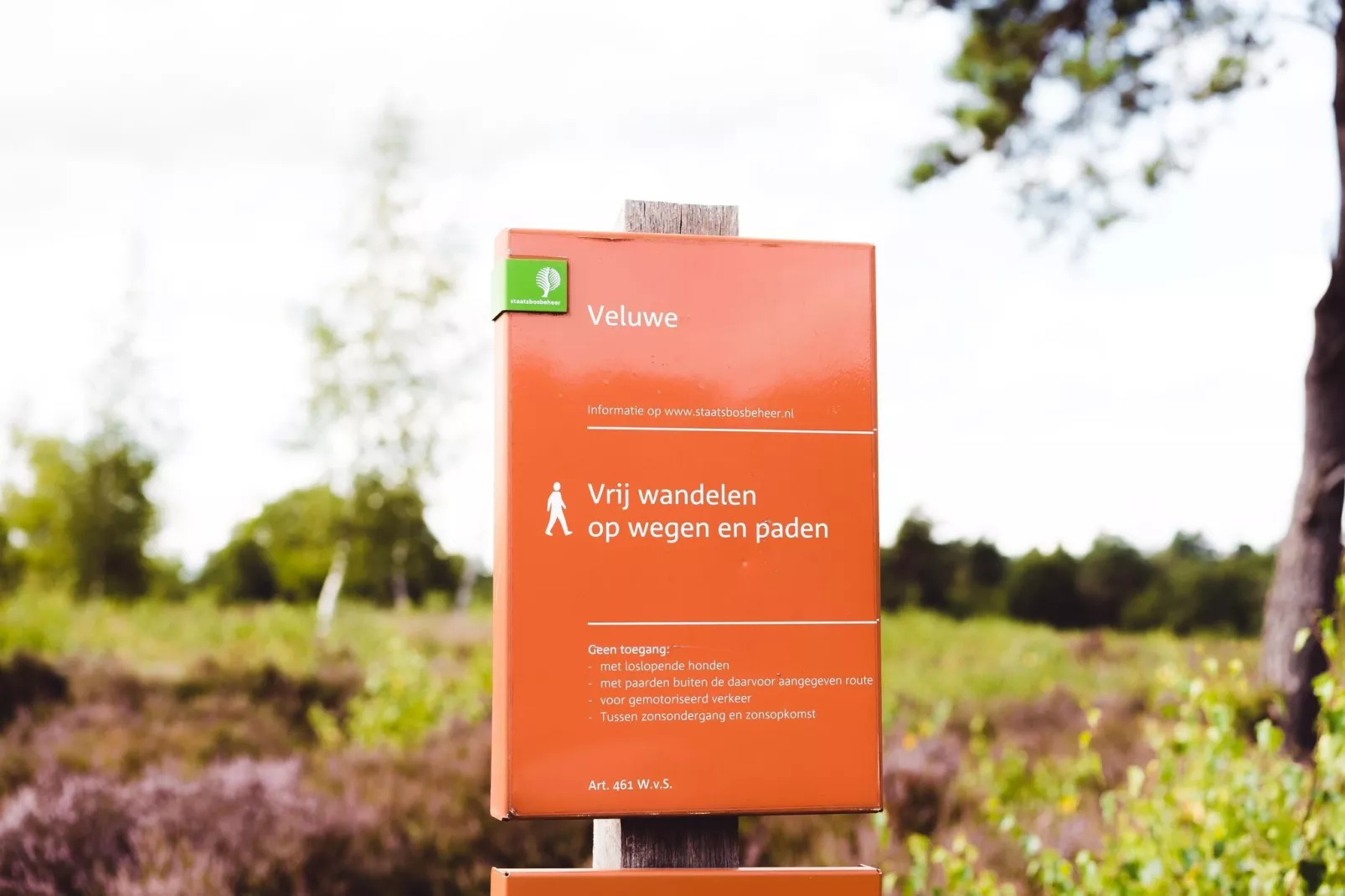 Bospark de Schaapskooi 10-Areas summer 5km