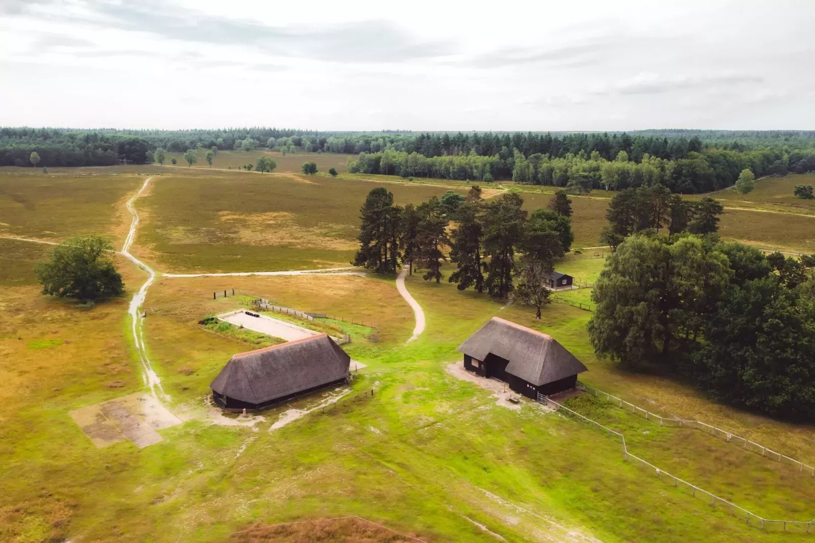 Bospark de Schaapskooi 10-Areas summer 5km