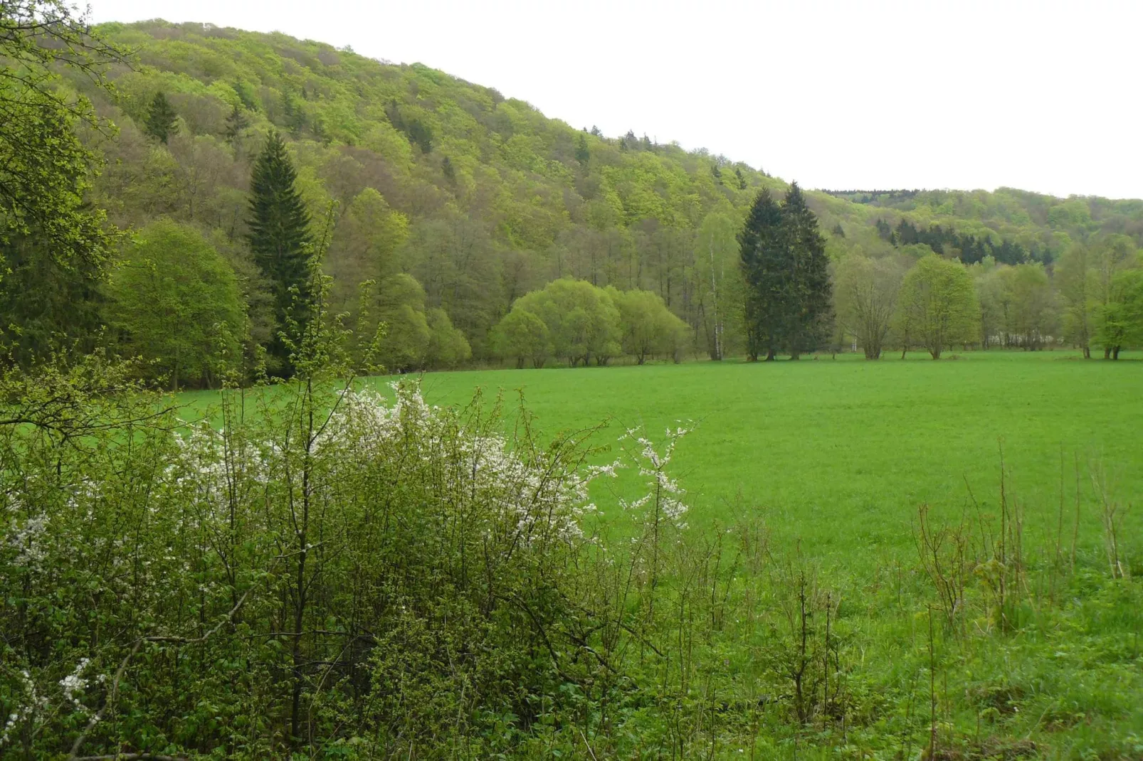 Holzhaus Ute-Areas summer 1km
