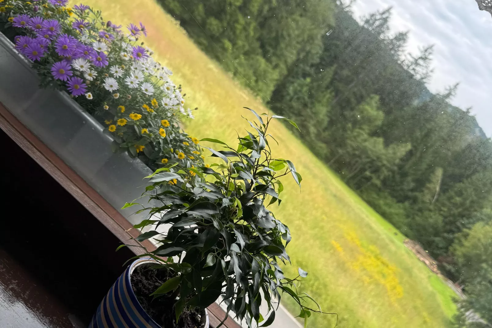 Apartment 4-View summer