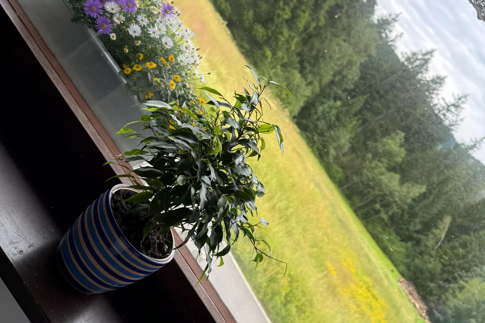 Apartment 4-View summer