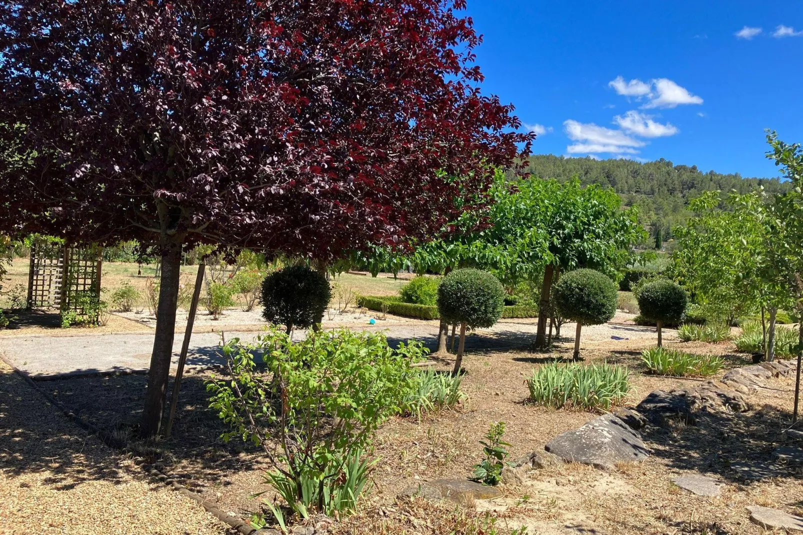 Villa les Hirondelles-Gardens summer