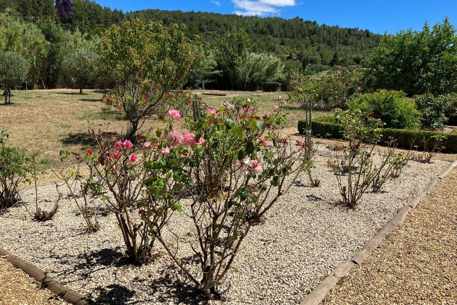 Villa les Hirondelles-Gardens summer