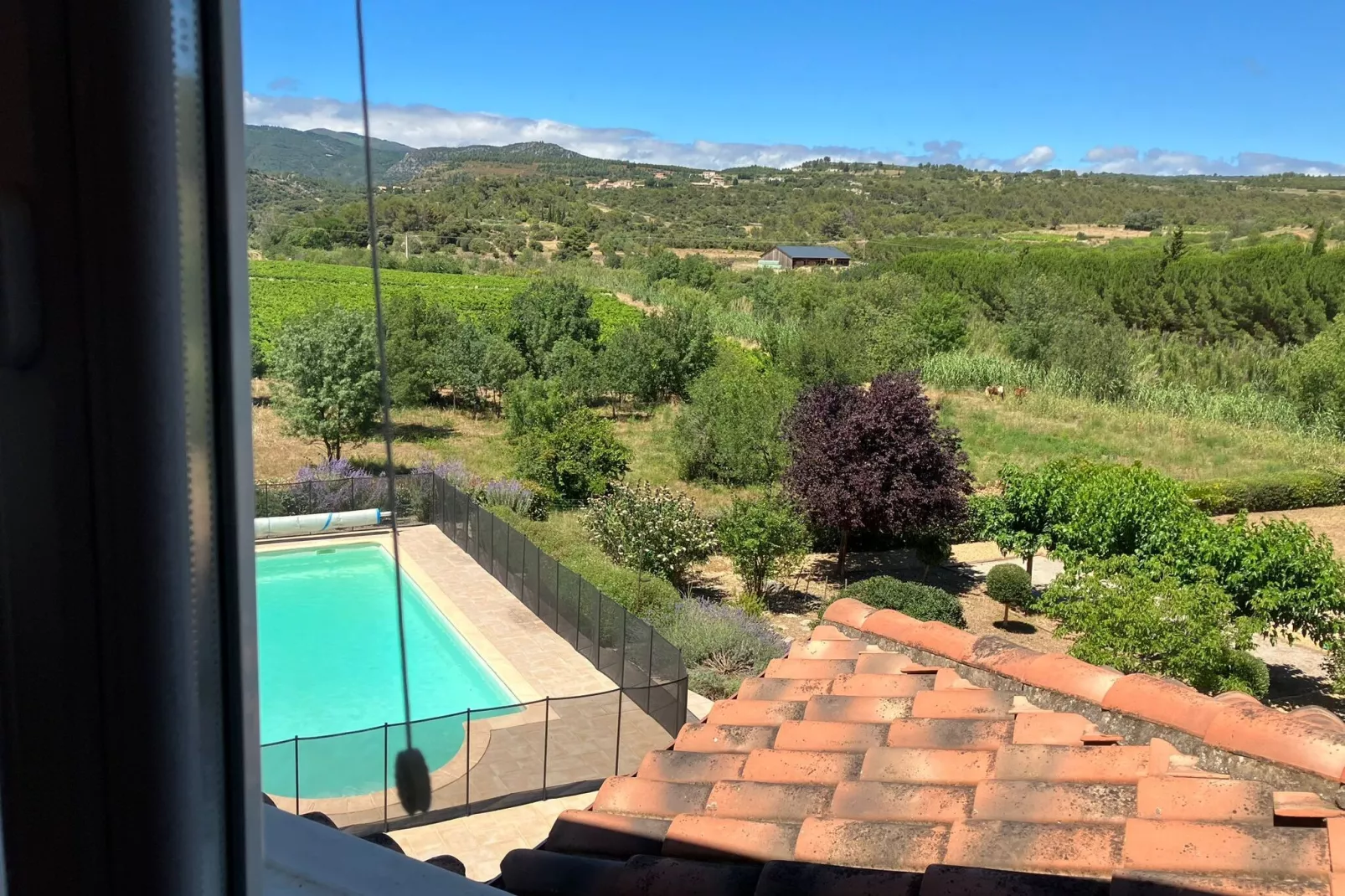 Villa les Hirondelles-View summer