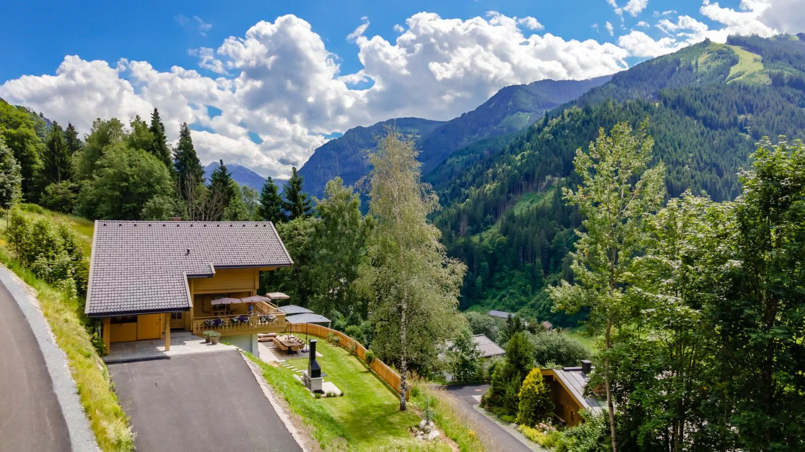 Chalet Huski Viehhofen-Areas summer 1km