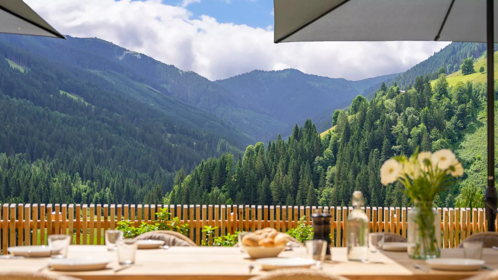 Chalet Huski Viehhofen-View summer