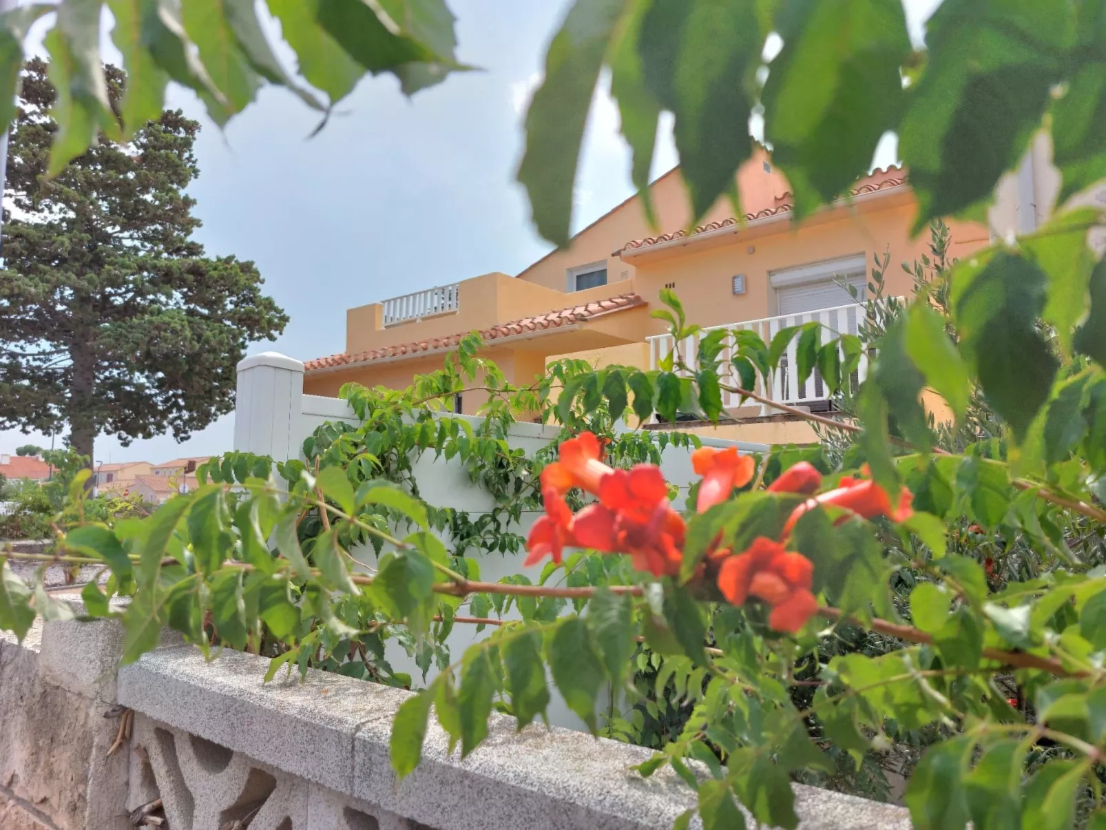 Pine's Mansion-Outside