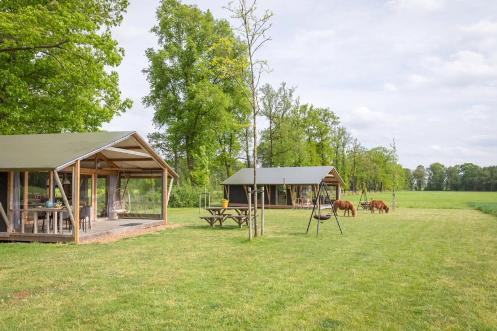 Landrijk de Reesprong 2-Exterior summer