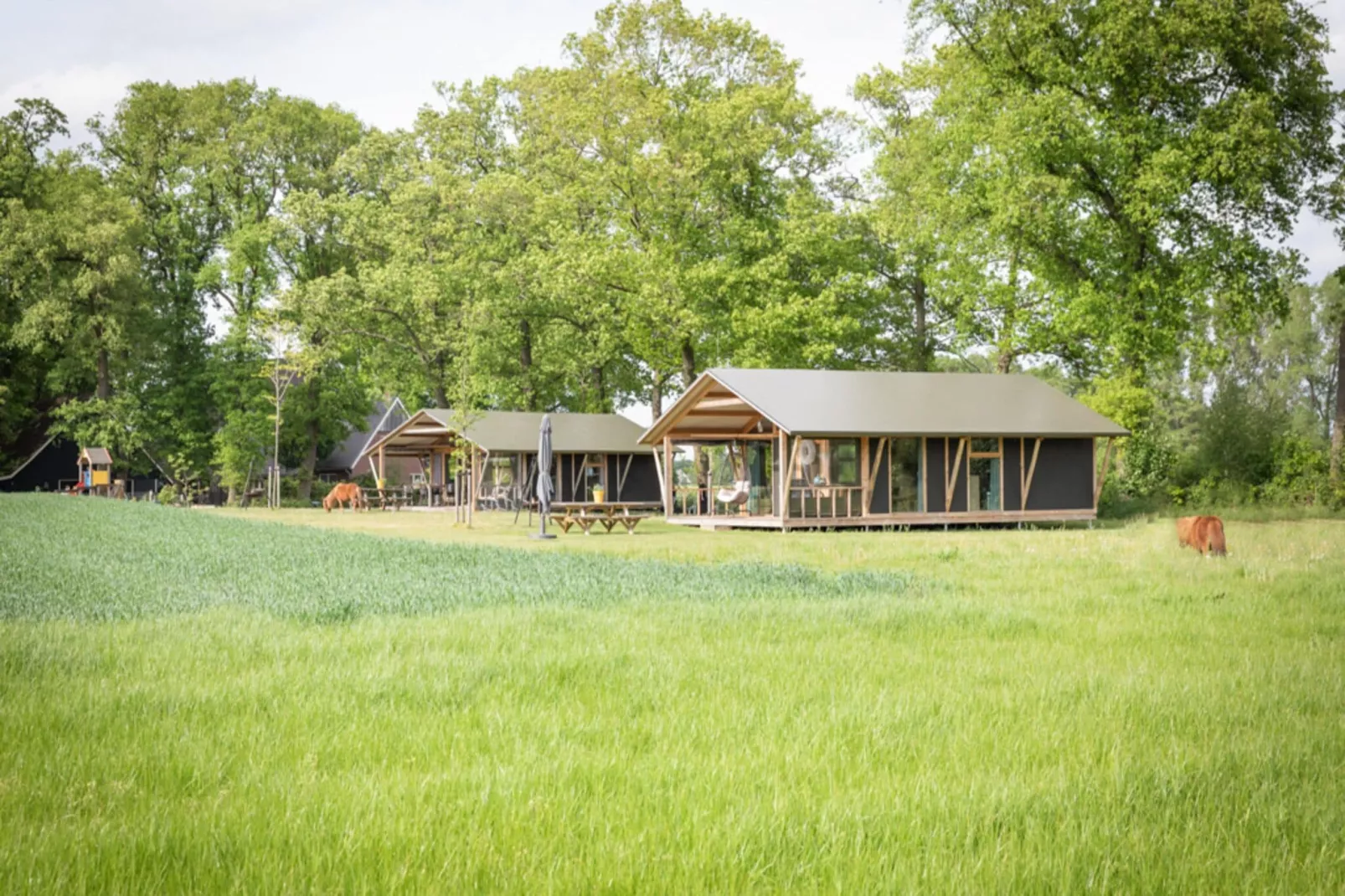 Landrijk de Reesprong 2-Exterior summer