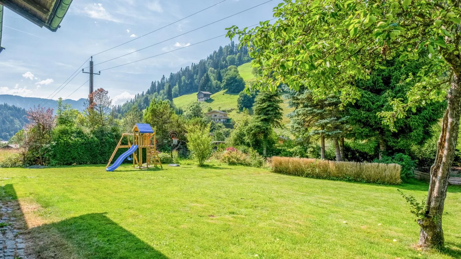 Platzhirsch Small-Gardens summer