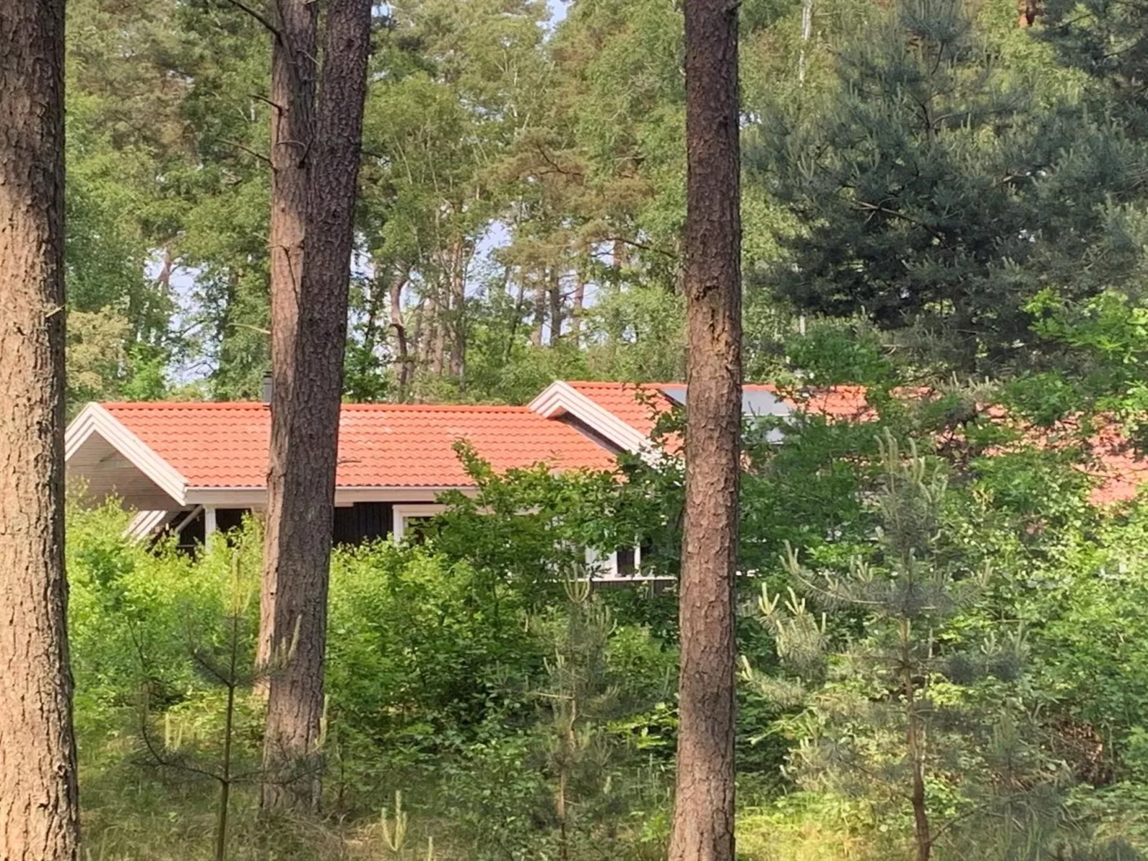 "Nea" - 600m from the sea-Outside