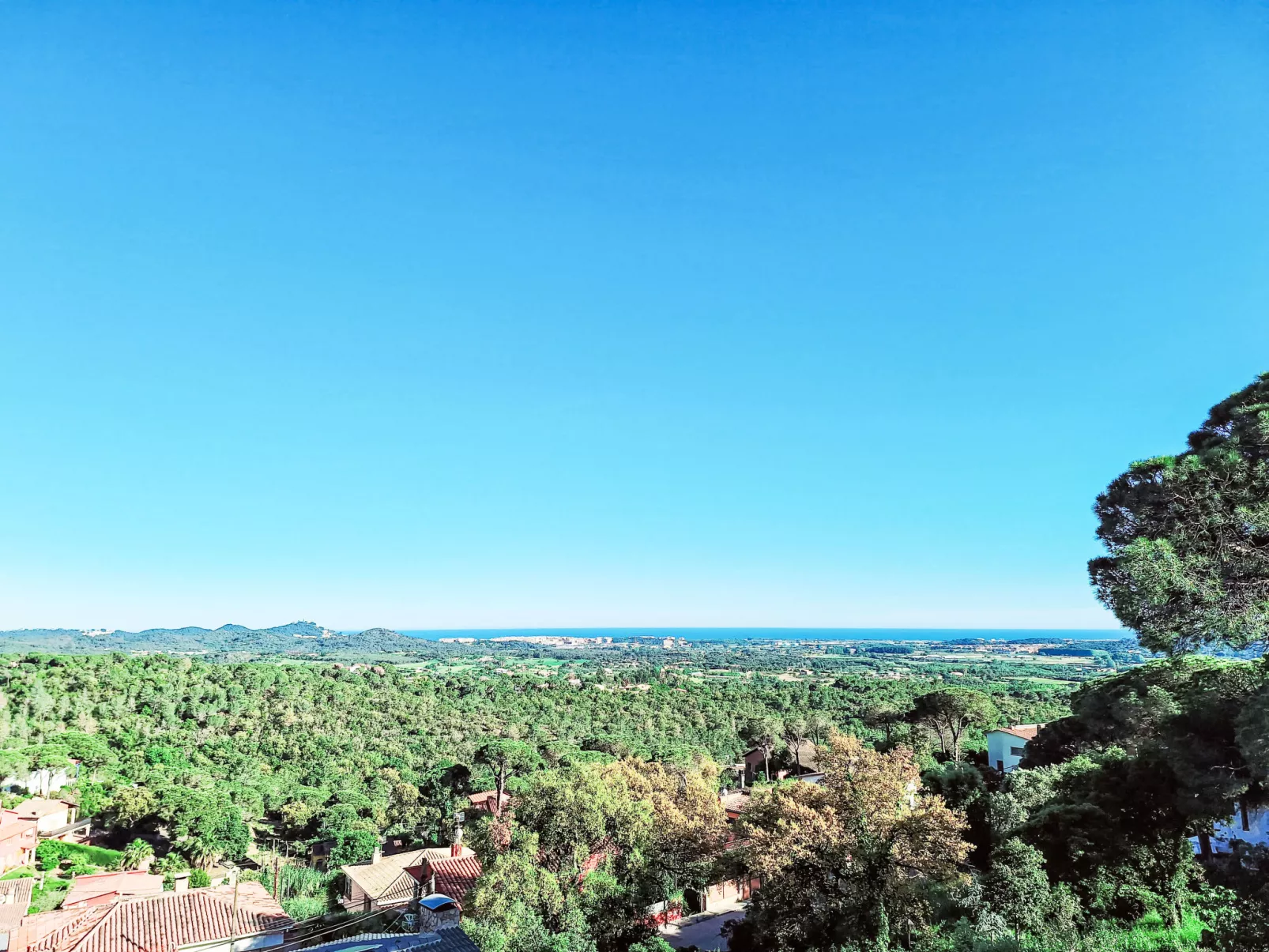 Panoramic-Outside