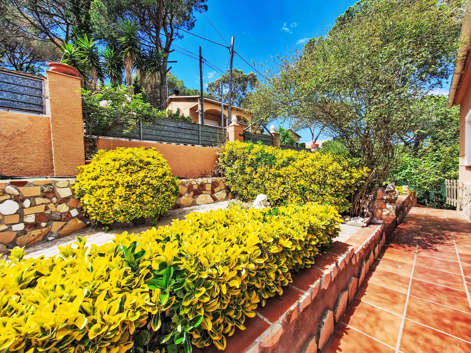 Panoramic-Outside
