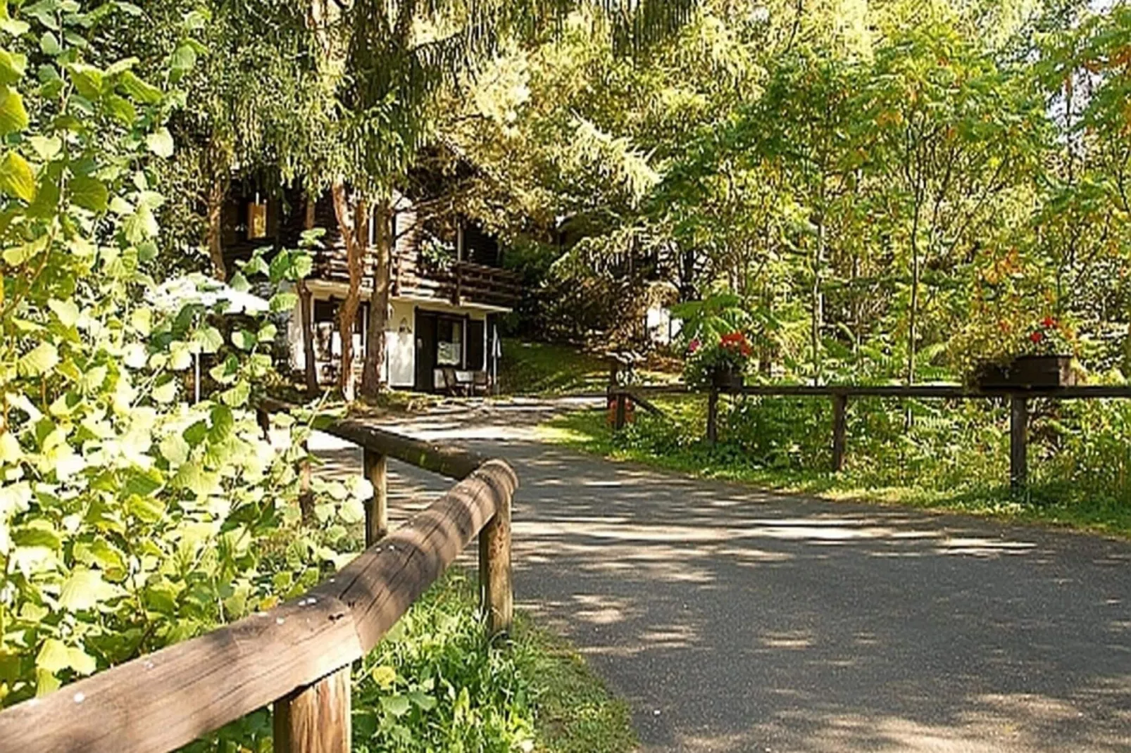 Feriendorf Reinskopf 5-Areas summer 1km