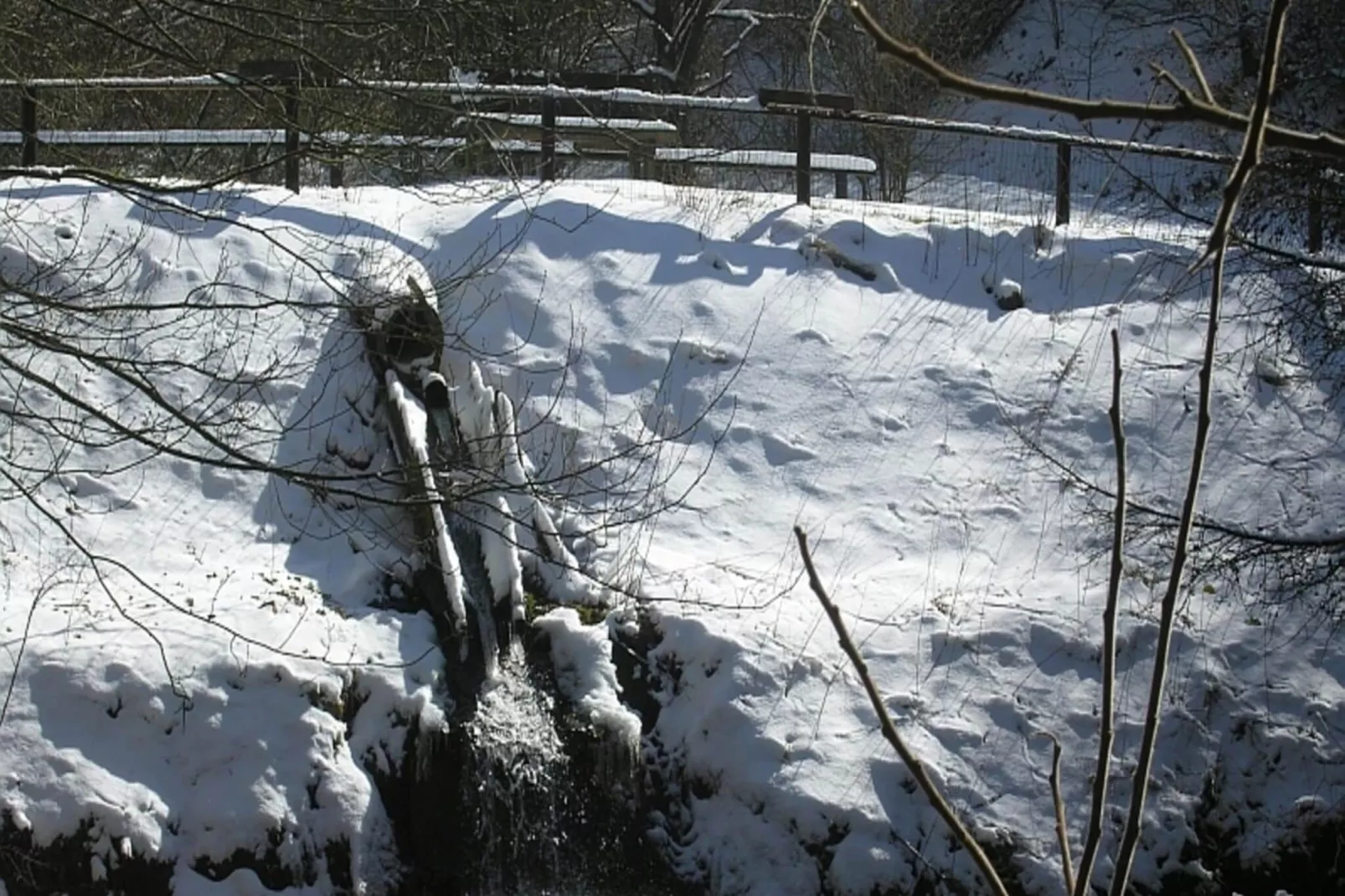 Feriendorf Reinskopf 5-Area winter 1km
