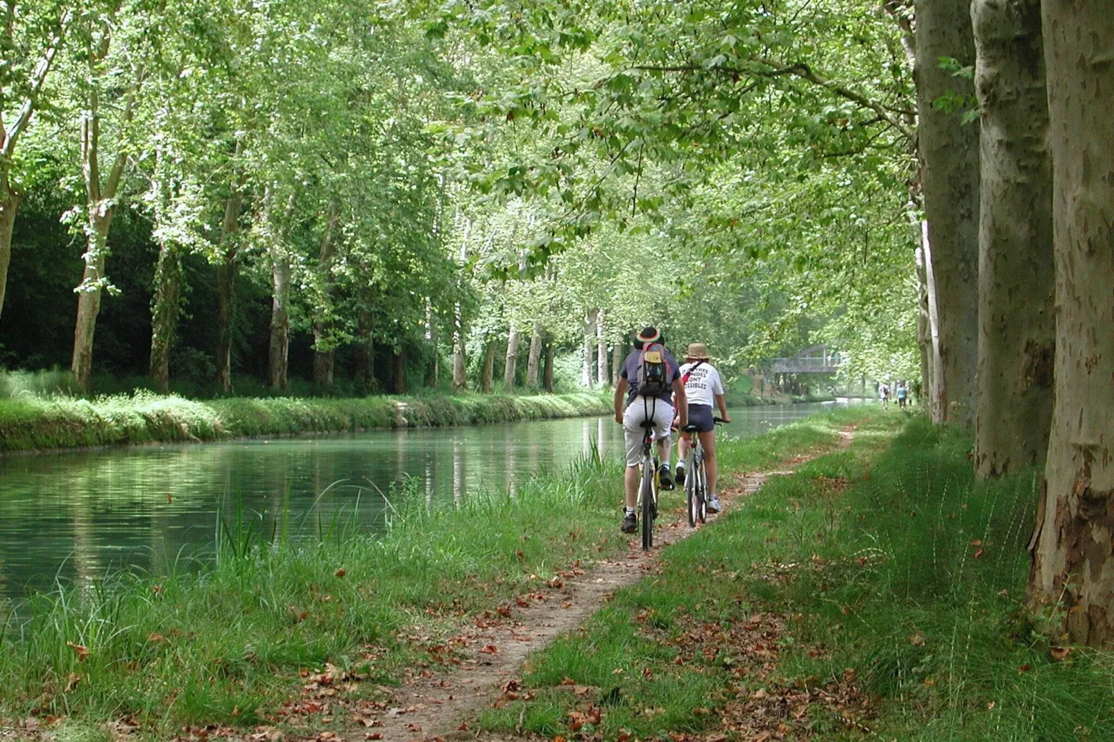 Port Lalande 1-Areas summer 5km