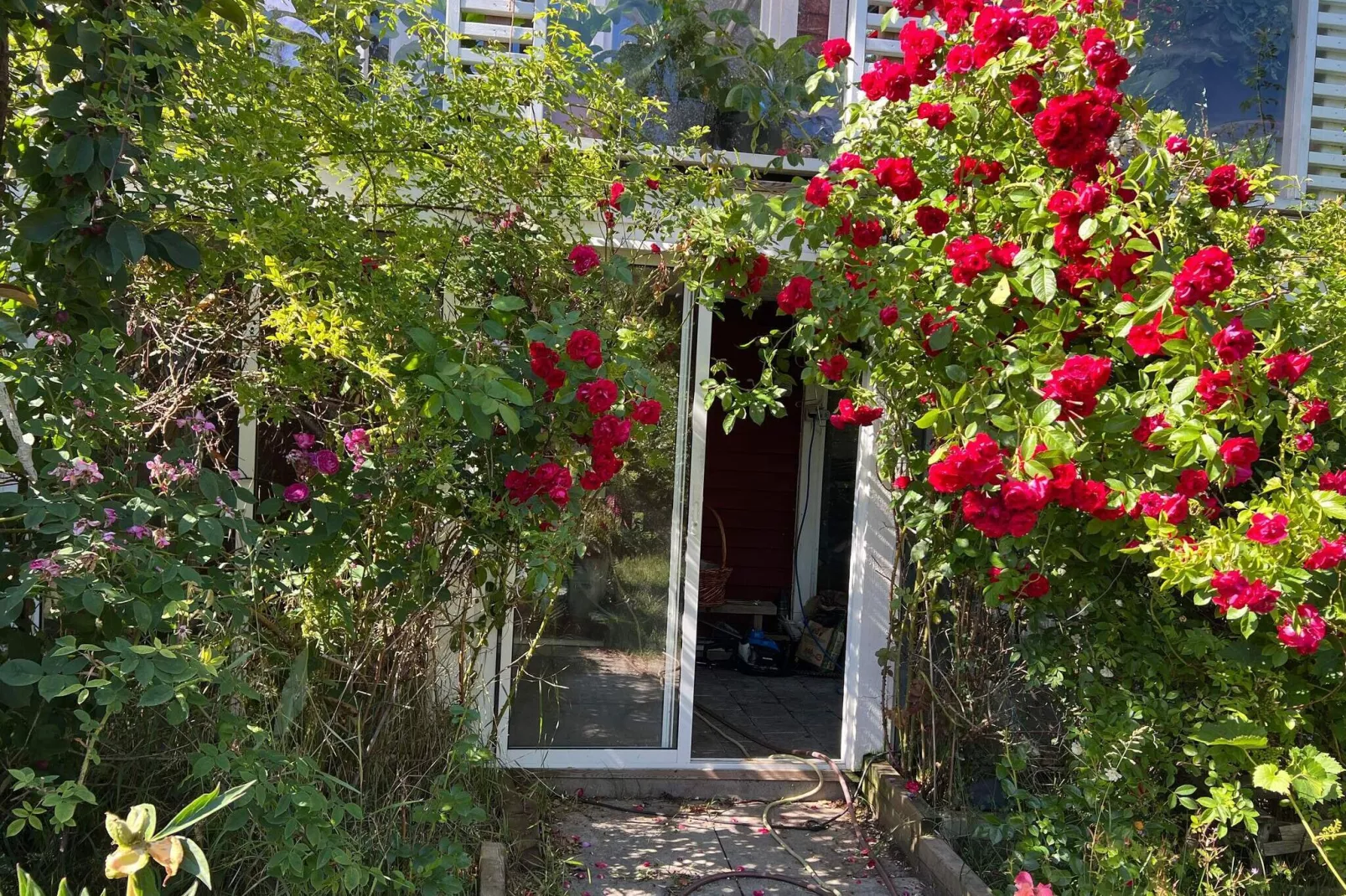 4 person holiday home in ÅRSTA HAVSBAD-Outdoor