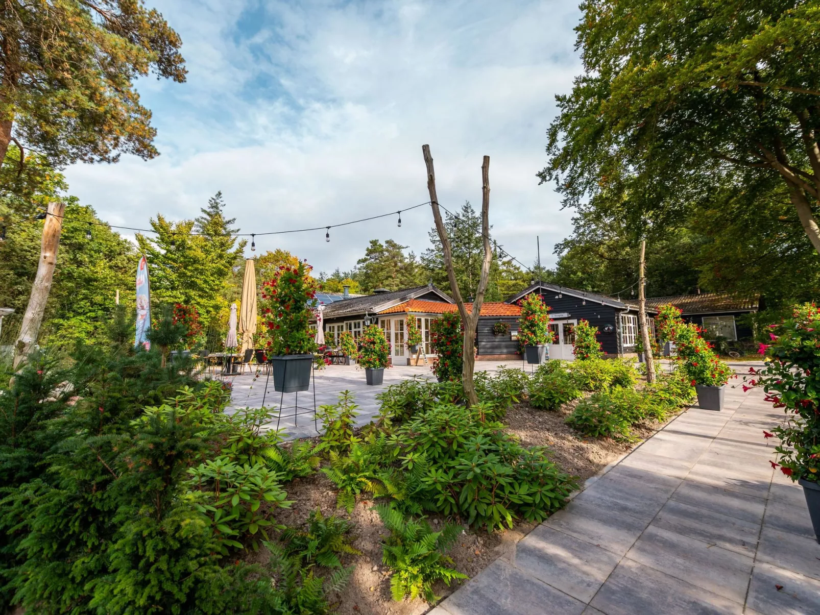 Forest Lodge 4-Area