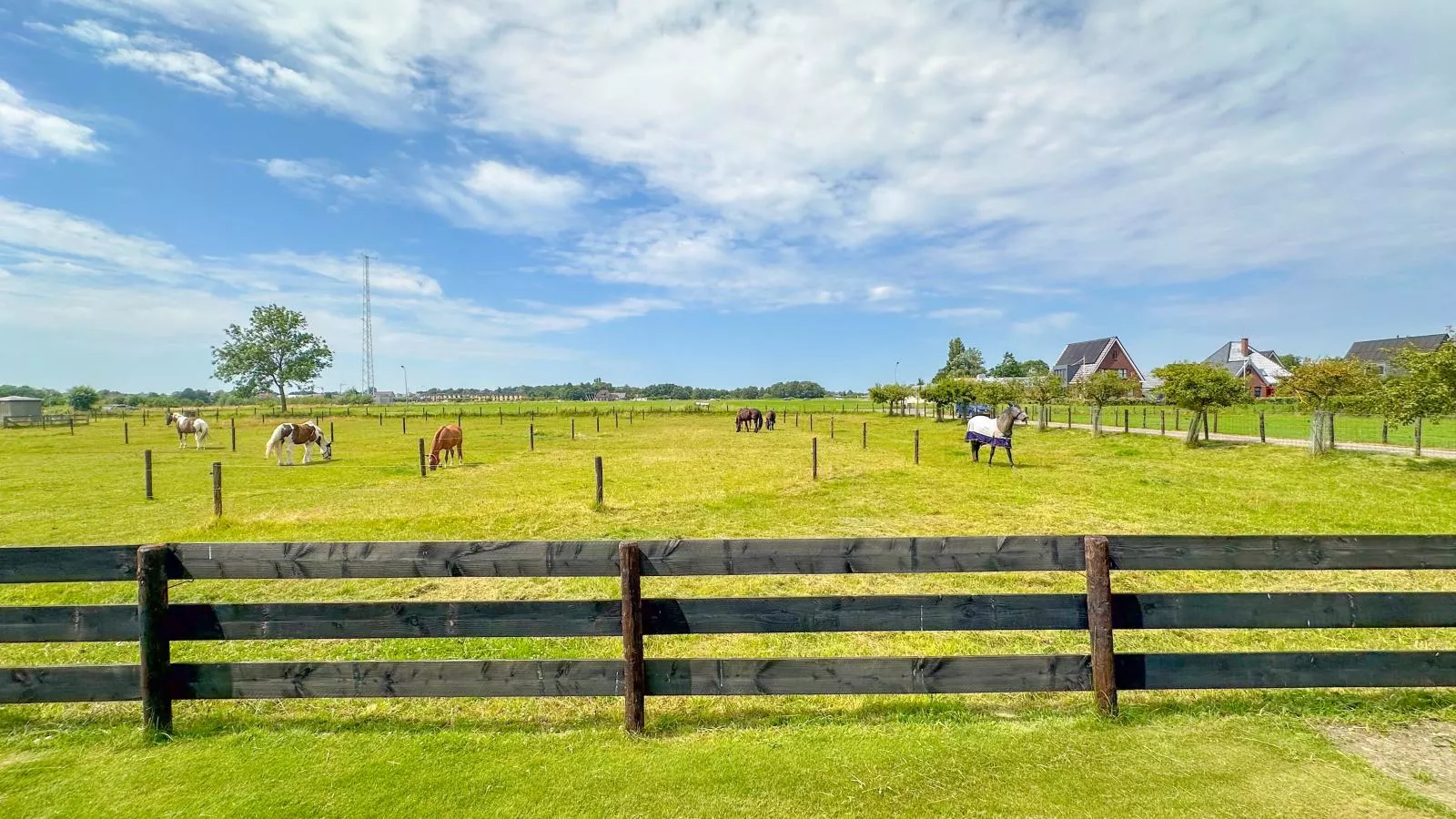 De Huismus-View summer