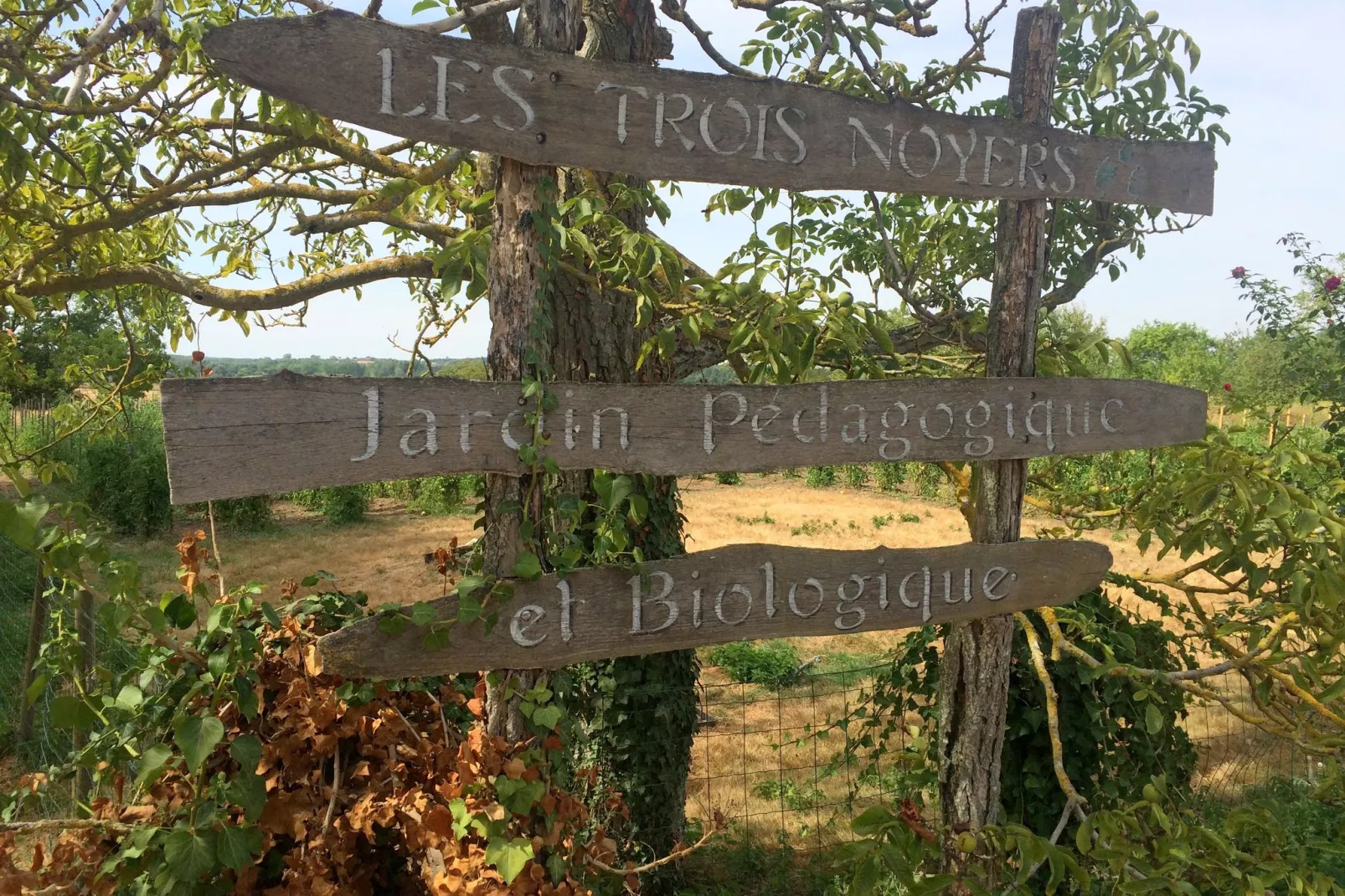 La Bergerie-Zones été à 1 km