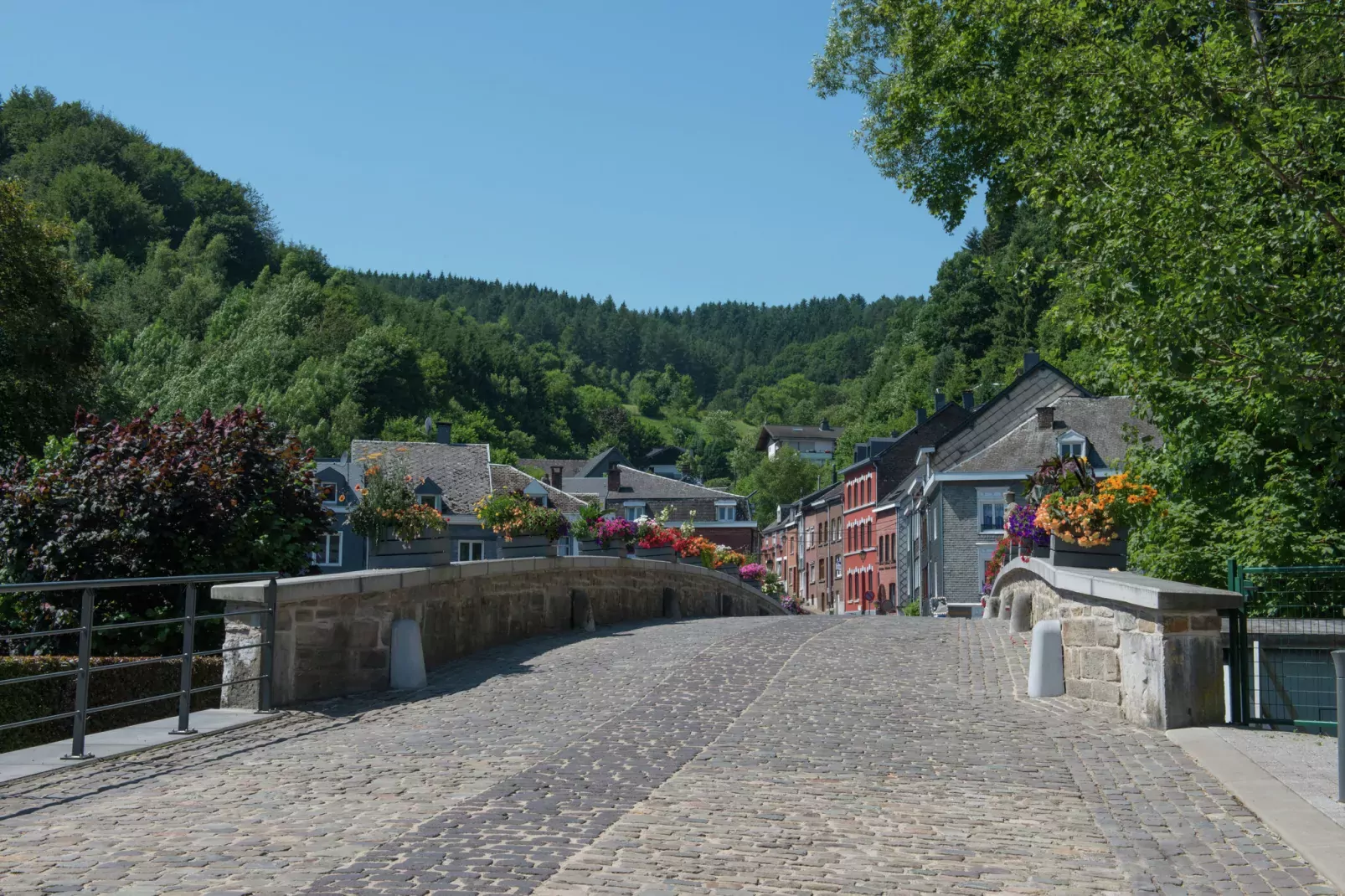 Le Chemin des Framboises-Areas summer 5km
