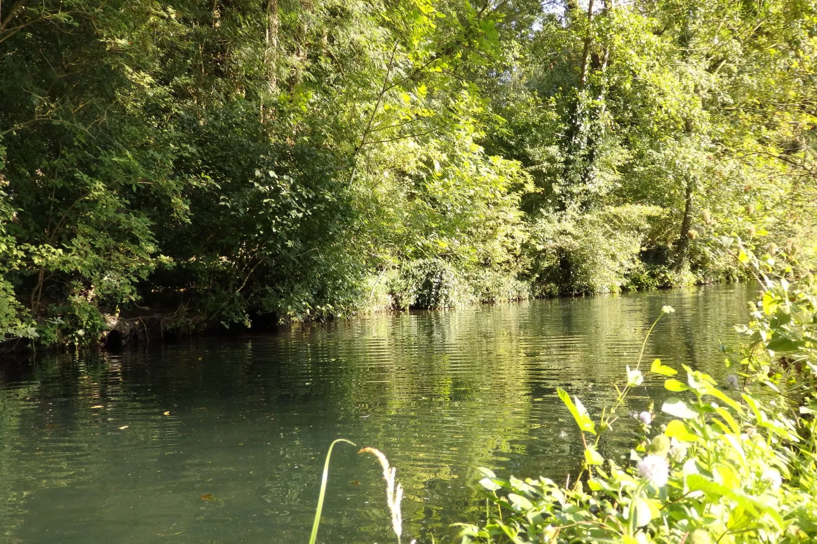 La Bergerie-Zones été à 5 km