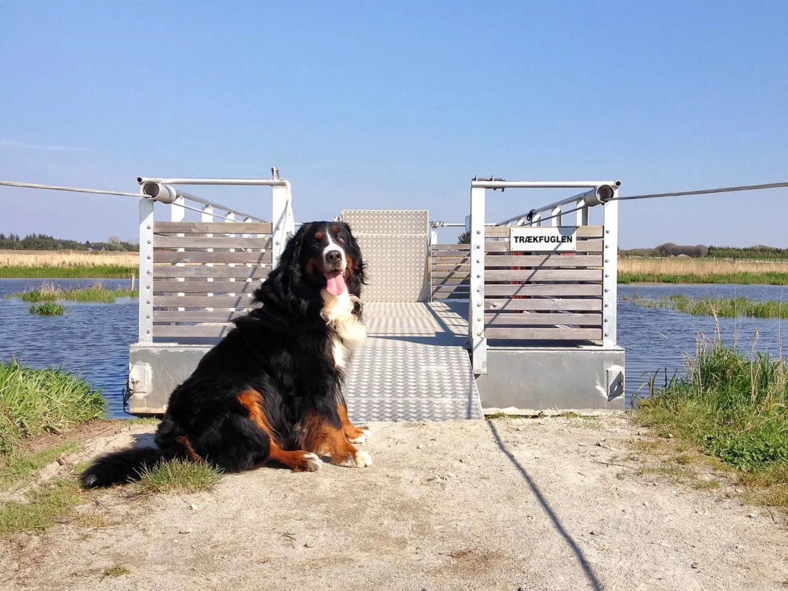 "Elis" - 90m to the inlet-Outside